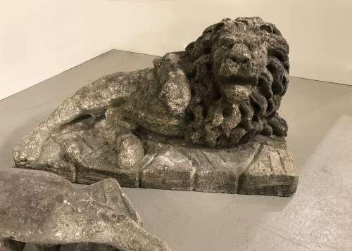 Pair Of Italian Vicenza Stone Lions In Very Unusal Pose Circa 1800