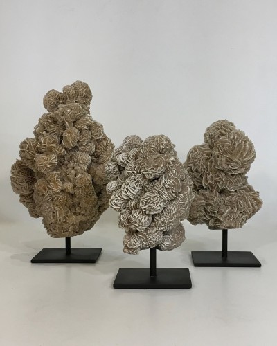 Pieces Of Small Desert Roses Mineral Clusters On Metal Stand