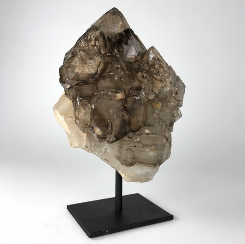 Alligator Quartz Mineral on Brown Bronze Stand